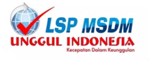 LSP MDM